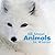 All About Animals in Winter