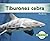 Tiburones cebra (Abdo Kids:...