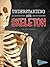 Understanding Our Skeleton