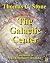 The Galactic Center (The Xylanthian Chronicles Book 3)