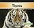 Tigres (Abdo Kids: Grandes Felinos) (Spanish Edition)