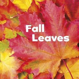 Fall Leaves (Little Pebble: Celebrate Fall)