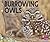 Burrowing Owls (Pebble Plus)