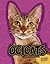 Ocicats (Edge Books: All About Cats)