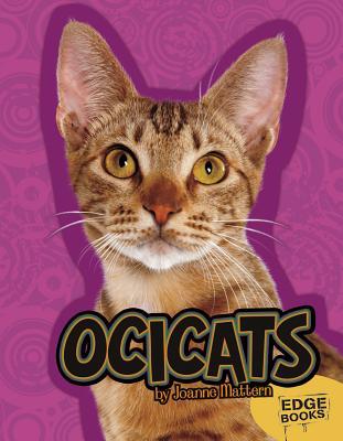 Ocicats (Edge Books: All About Cats)