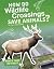 How Do Wildlife Crossings S...