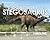 Digging for Stegosaurus: A Discovery Timeline (Dinosaur Discovery Timelines)