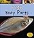 Fish Body Parts (Animal Body Parts)