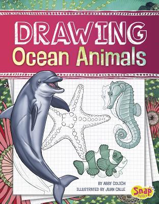 Drawing Ocean Animals (Drawing Amazing Animals)