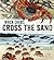 When Crabs Cross the Sand: ...