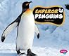 Emperor Penguins