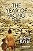 The Year of Facing Fire
