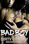 Bad Boy: Taboo Erotica Bundle