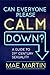 Can Everyone Please Calm Down?: A Guide to 21st Century Sexuality