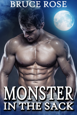 Monster in the Sack (A Fairview Story, #3)