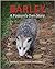 Barley, a Possum's Own Story