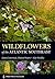 Wildflowers of the Atlantic Southeast (A Timber Press Field Guide)