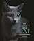 The Grace of the Cat: An Illustrated History