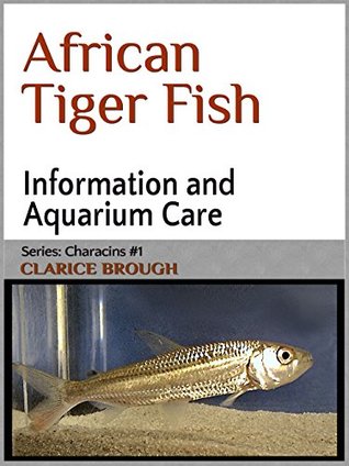 african tiger fish care