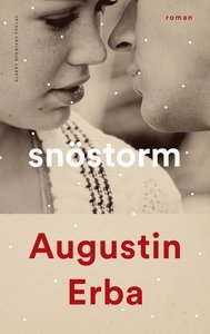 Snöstorm (Hardcover)