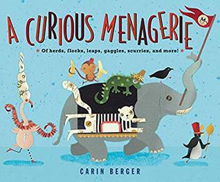 A Curious Menagerie (Hardcover)