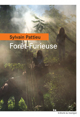 Forêt-Furieuse (Paperback)