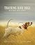 Training Bird Dogs with Ronnie Smith Kennels by Reid Bryant
