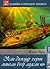 Усан доогуур хорин мянган бээр аялсан нь by Jules Verne