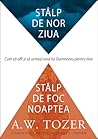 Stalp de nor ziua...