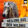 Heilung aus der Wildnis Heilung aus der Wildnis