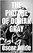 THE PICTURE OF DORIAN GRAY (Illustrated)