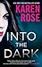 Into the Dark (Romantic Sus...