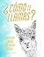 ¿Como te llamas?: Everyday ...