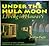 Under the Hula Moon : Living in Hawai'i