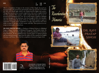 The Reverberating Memories (Paperback)