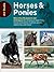 Art Studio: Horses & Ponies...