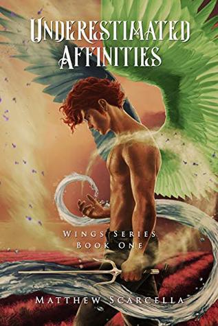 Underestimated Affinities (Wings #1)