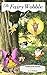 Fairy Wobble: Garden of the...