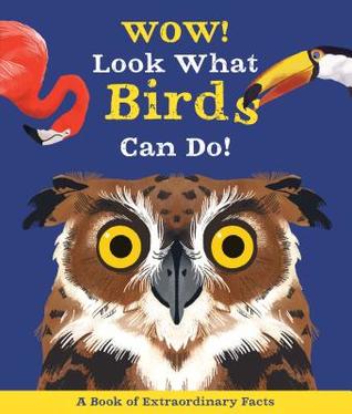 Wow! Look What Birds Can Do (Hardcover)