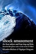 Shock Amazement