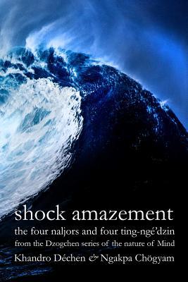 Shock Amazement (Paperback)