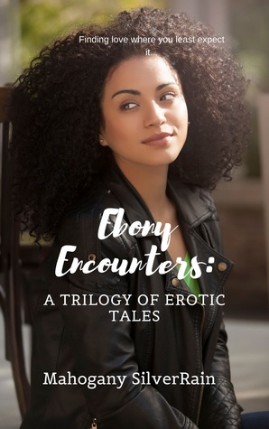 Ebony Encounters: A Trilogy of Erotic Tales (Paperback)