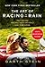 The Art of Racing in the Rain by Garth Stein