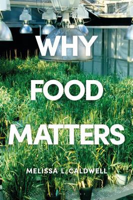 Why Food Matters: Critical Debates in Food Studies (Paperback)