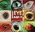Whose Eye Am I?