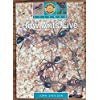 How ants live (Sunshine science series)