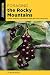 Foraging the Rocky Mountains by Lizbeth Morgan