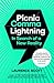 Picnic Comma Lightning: In Search of a New Reality