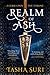 Realm of Ash (The Books of Ambha, #2)