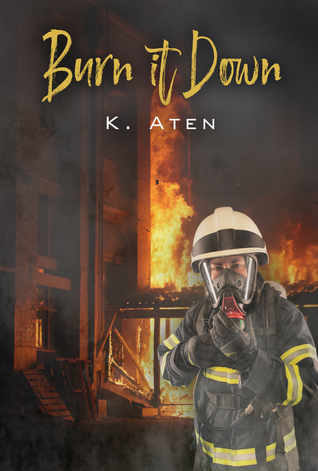 Burn It Down (Kindle Edition)